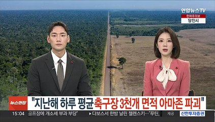 "지난해 하루 평균 축구장 3천개 면적 아마존 파괴"