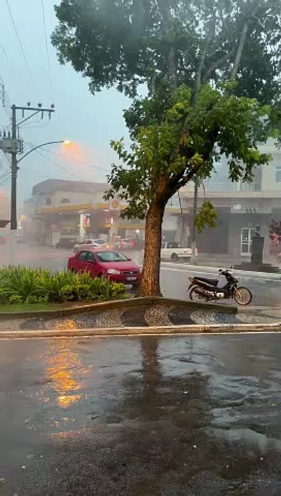 Storm Uproots Tree