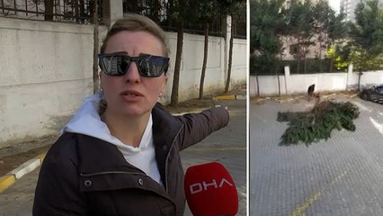 Aidat zammı tartışmasının yaşandığı siteyi bu kez ağaç kesimi karıştırdı