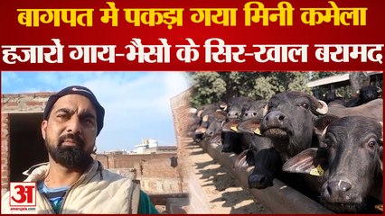 UP Crime : मिनी कमेला का भंडाफोड़, विरोध में धारदार हथियार से पुलिस पर हमला, तीन पुलिसकर्मी घायल