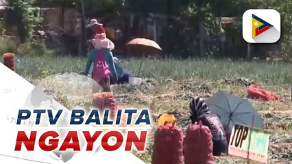 Pangasinan provincial police, iniimbestigahan na ang umano'y pangha-harass sa ilang onion farmers
