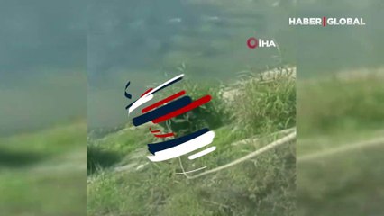 Asi Nehri kenarında mahsur kalan köpek kurtarıldı