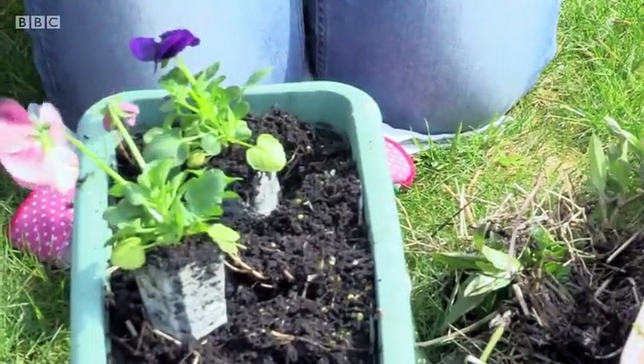 Wanted Down Under - Se13 - Ep20 - The Williams Family HD Watch