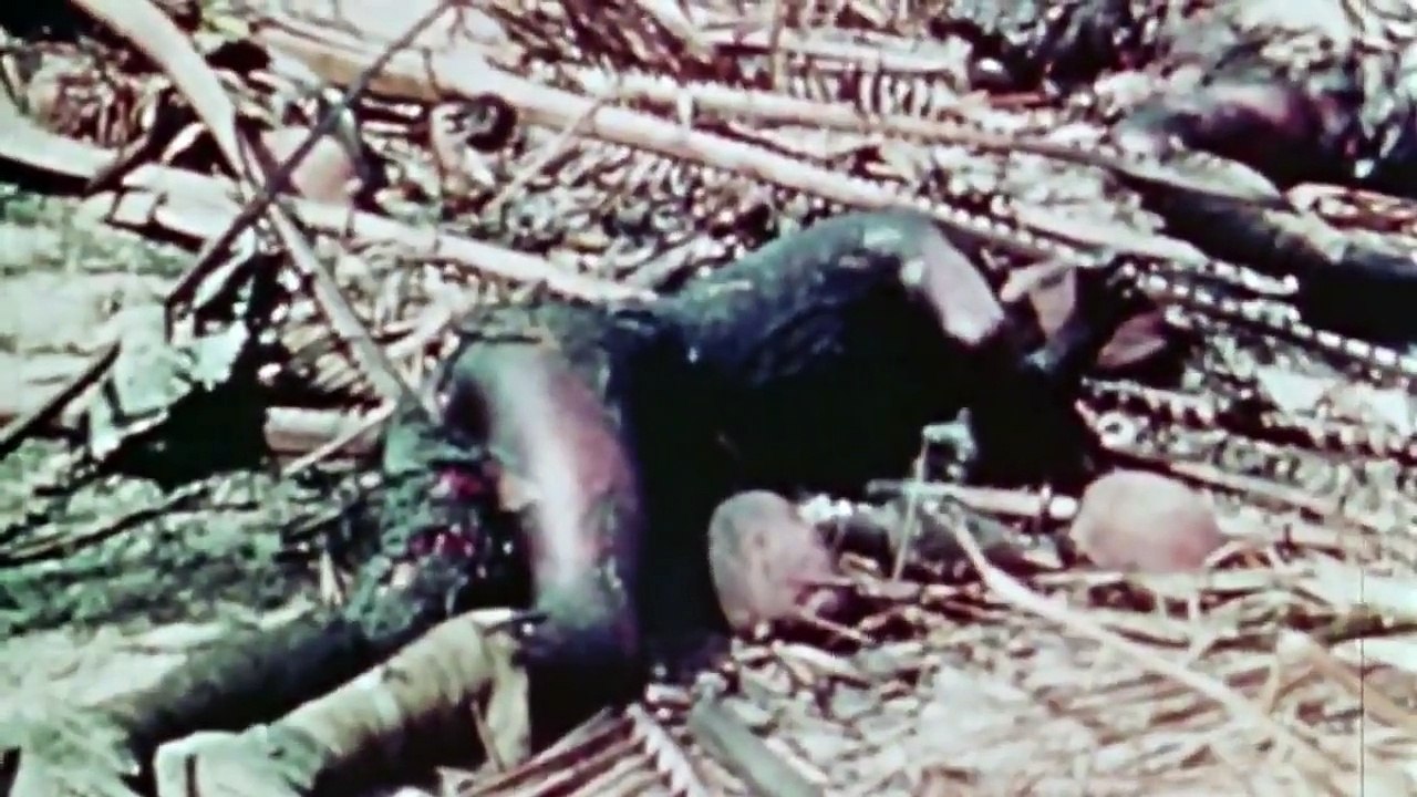 The World At War 1973 - Se1 - Ep23 - Pacific - The Island to Island War (February 1942$$^^8211;July 1945) HD Watch