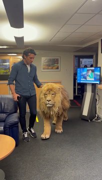 Le lion du spectacle Noé, la force de vivre est passé par les locaux de France Bleu