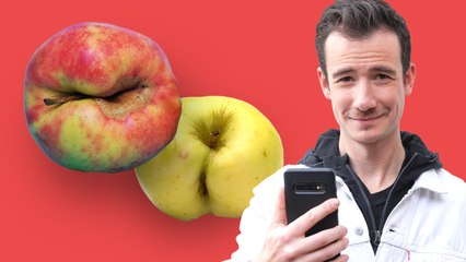 Comment les fruits «moches» sont bannis des rayons