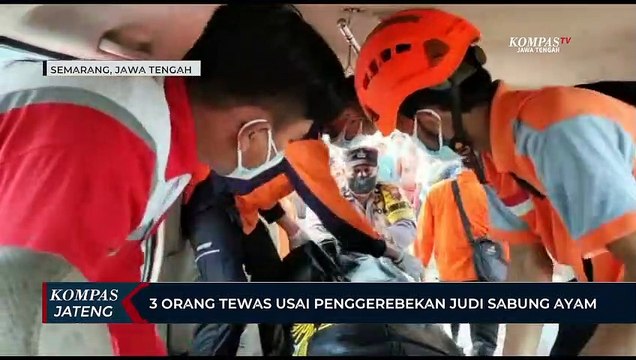 3 Orang Tewas Usai Penggerebekan Judi Sabung Ayam