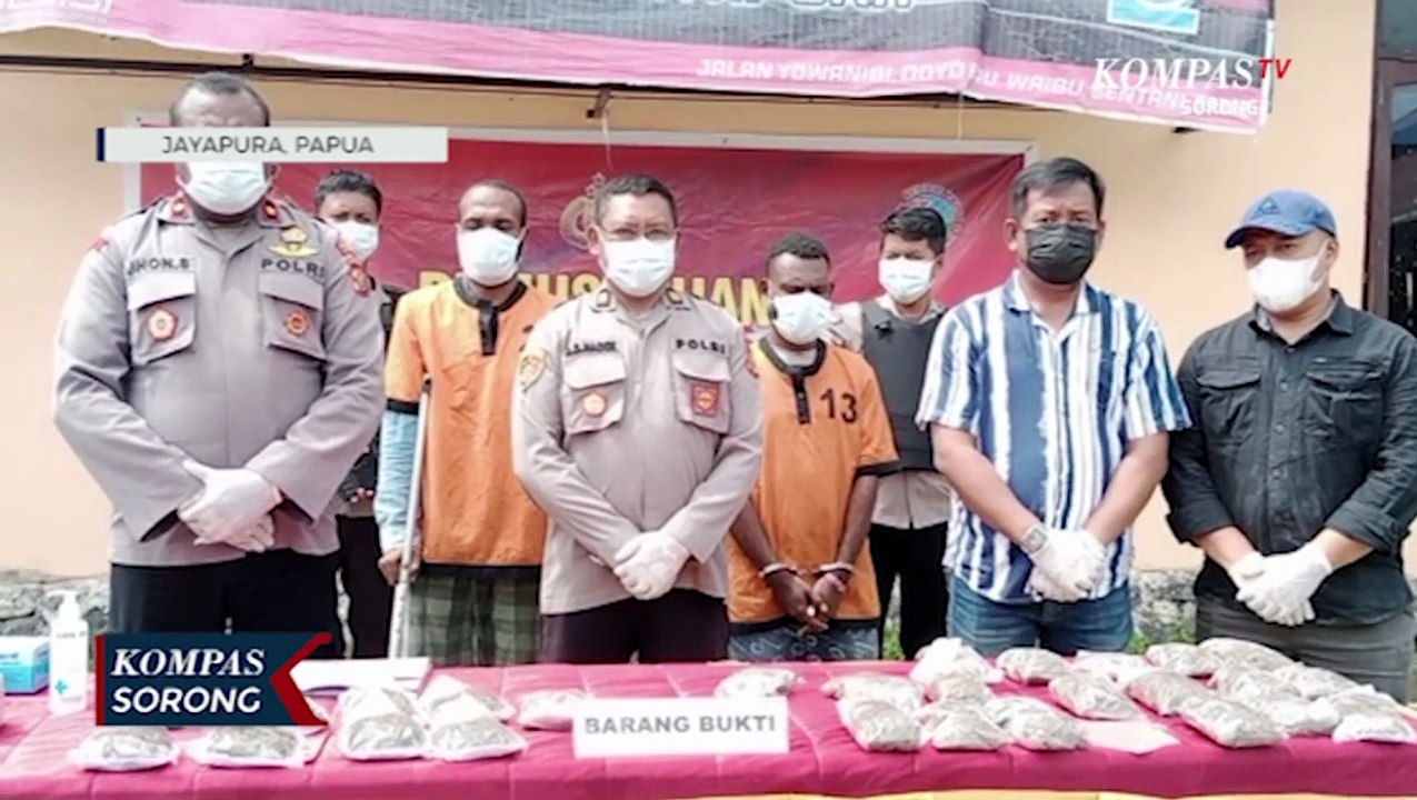 Polisi Musnahkan 1,5 Kilogram Ganja Hasil Sitaan di Bandara Sentani