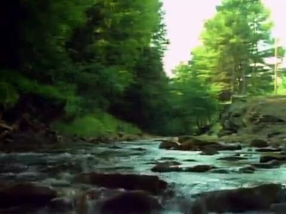 Tales From the Darkside - Se3 - Ep17 - Everybody Needs a Little Love HD Watch