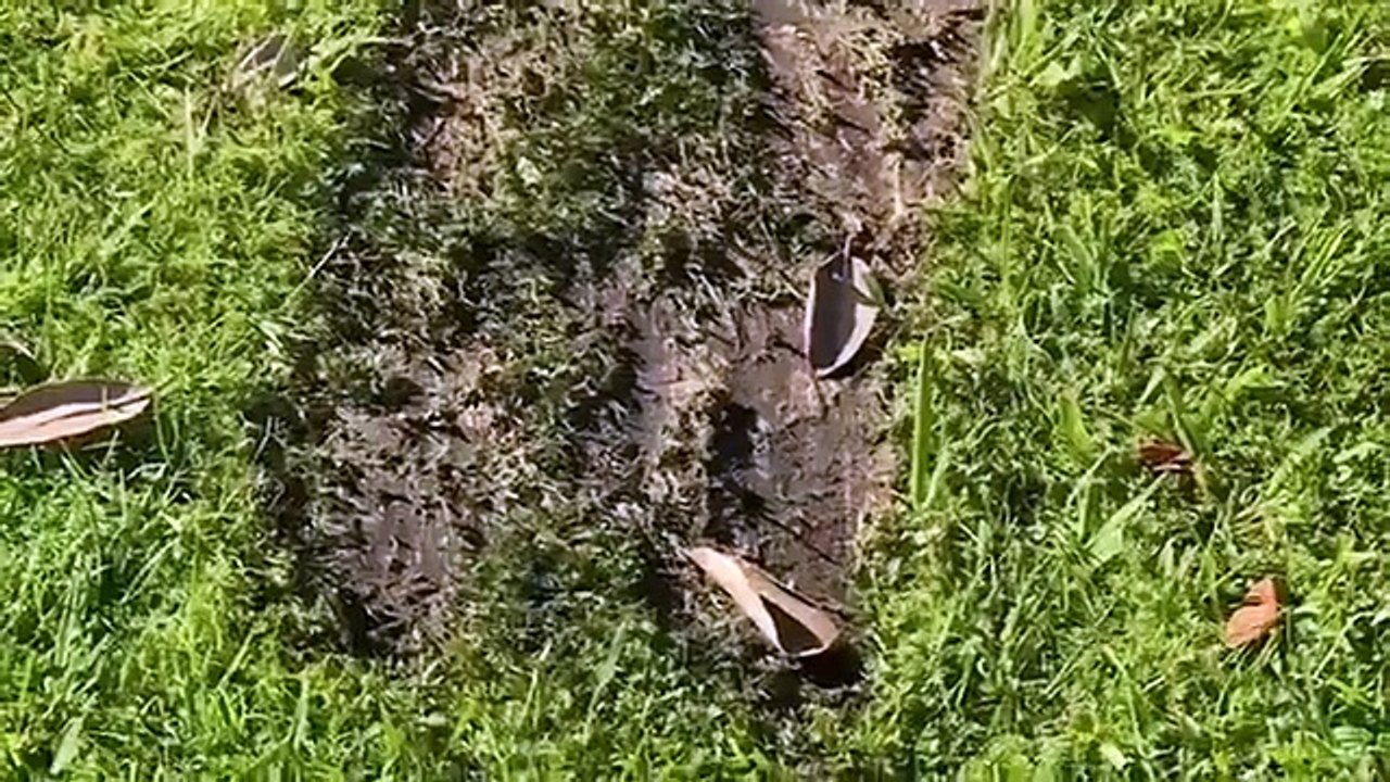 Police Ten 7 - Se24 - Ep10 HD Watch