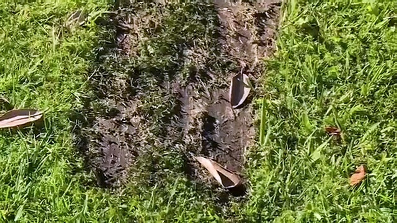 Police Ten 7 - Se24 - Ep08 HD Watch