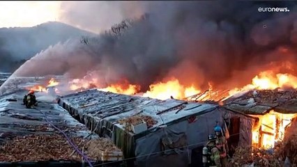 Сеул: пожар в трущобном посёлке на фоне небоскрёбов