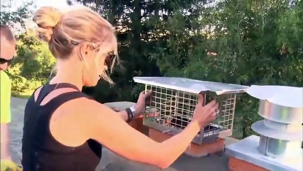 Rehab Addict - Se9 - Ep06 - Campbell Street Project HD Watch