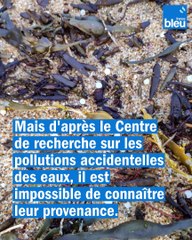 Pollution : des milliers de billes de plastique échouées sur la côte Atlantique