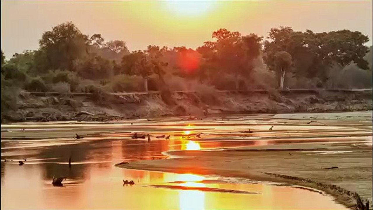 Africa's Hunters - Se2 - Ep03 - Kings of Nsefu HD Watch