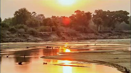 Africa's Hunters - Se2 - Ep03 - Kings of Nsefu HD Watch