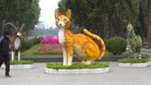 In Vietnam comincia l'anno del Gatto: (finti) felini ovunque