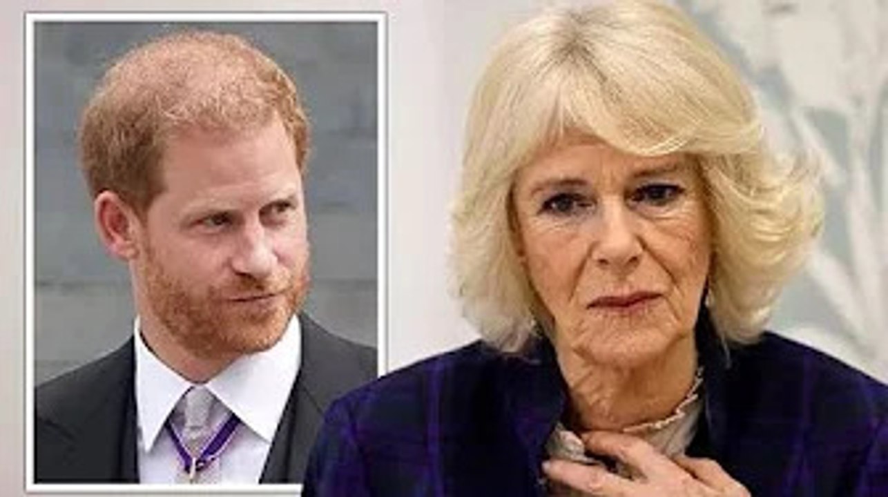 La regina Camilla "non merita questo feroce att@cco" - Harry si vergogna per i commenti "cattivi".