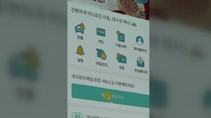 대구시 "대구형 택시앱 출시 한 달 만에 안착" / YTN
