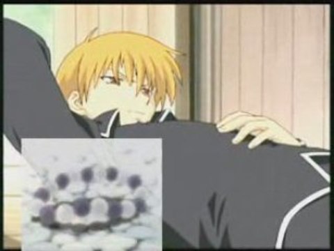 amv fruits basket-KYO