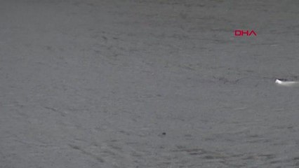 Edirne'de sağanak etkili oldu