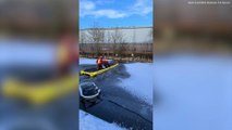 Heartwarming moment firefighters rescued dog after it fell into icy canal while chasing ducks