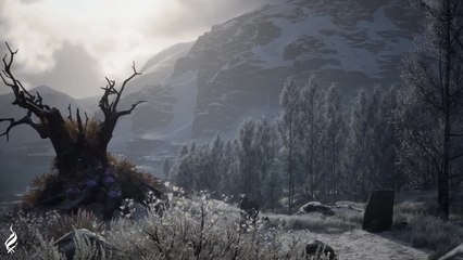 Hogwarts Legacy ASMR