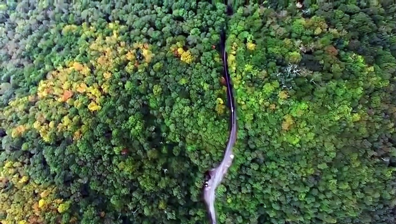 Dead Silent - Se2 - Ep02 - Run for Your Life HD Watch