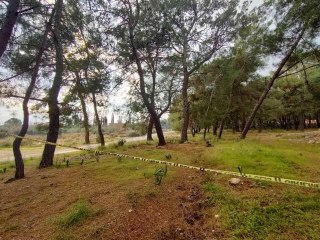Kolları ve kafası olmayan ceset gizemini koruyor