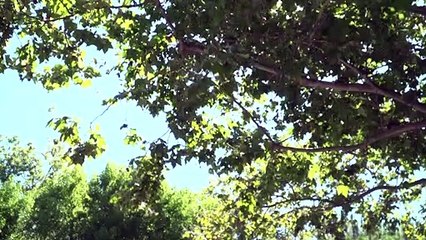 Google anuncia la eliminación de 12.000 empleos en todo el mundo