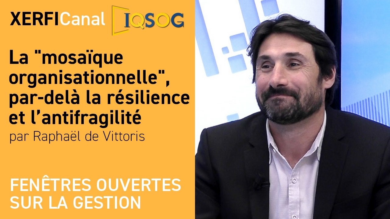 La "mosaïque organisationnelle", par-delà la résilience et l’antifragilité [Raphaêl de Vittoris]
