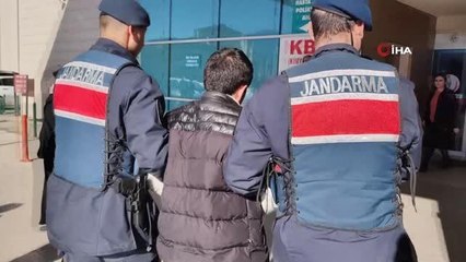 Bursa'da pompalı tüfekle köpeği vuran şahıs yakalandı