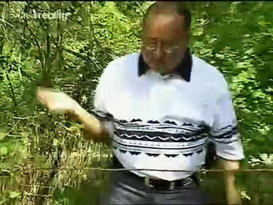 Forensic Files - Se6 - Ep19 HD Watch