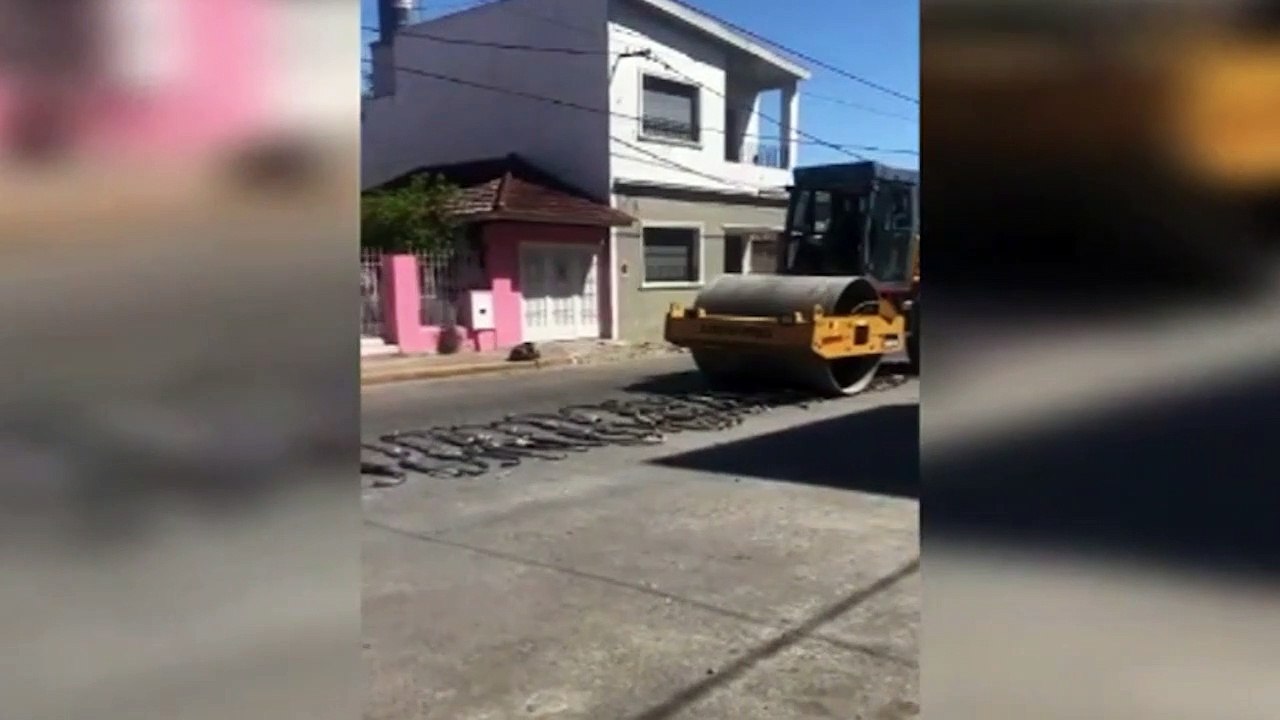 Berisso: con una aplanadora destruyeron 100 caños de escape libre