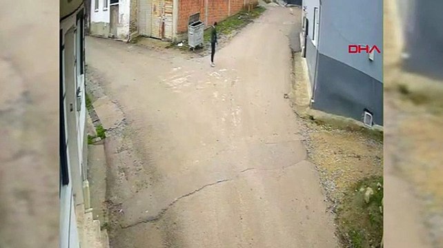 Sokak köpeğini pompalı tüfekle vurarak öldüren zanlı yakalandı