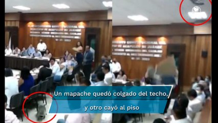 ‘Llueven’ mapaches en plena sesión de cabildo en Acapulco, Guerrero