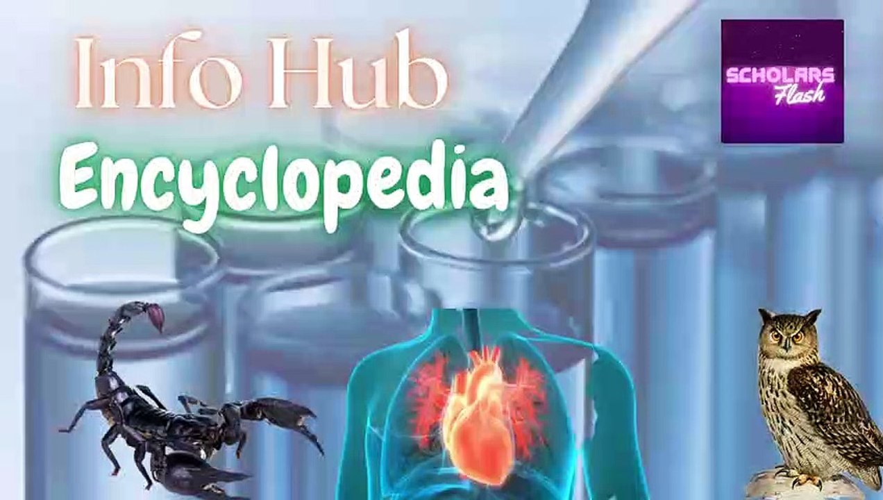Maloomat Ki Dunya_ Interesting  information_ Information Hub_By Scholars Flash#scholarsflash#history