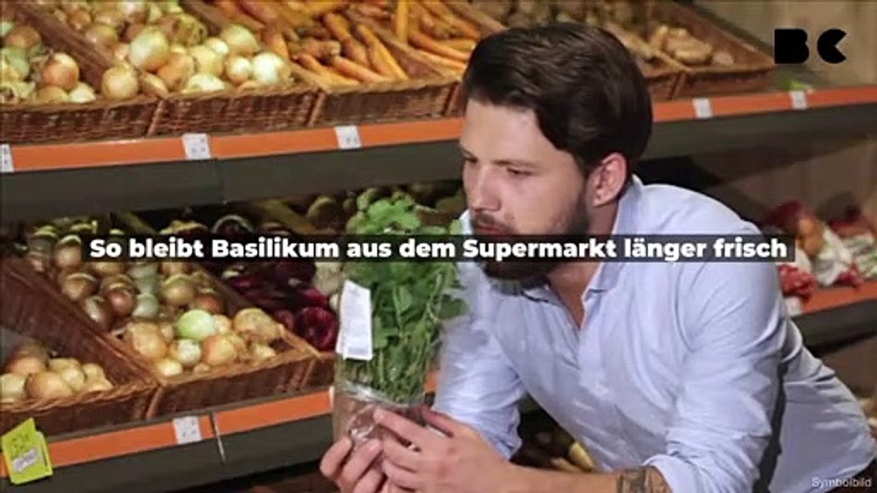 So bleibt Basilikum aus dem Supermarkt länger frisch