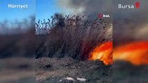 İznik’te sazlık alanda korkutan yangın: 10 dönüm alan zarar gördü