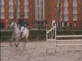 Cloé & Misti CSO CL1 Sheva 16/03/2008