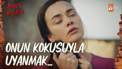 Ali, Mercan'ı dışarda uyurken görünce dayanamadı! - Ateş Kuşları 2. Bölüm