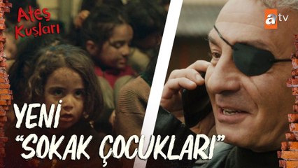 Çatal, Suriye'den kimsesiz çocukları getirtiyor! - Ateş Kuşları 2. Bölüm