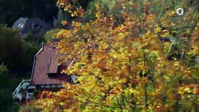 Rote Rosen Folge 3702