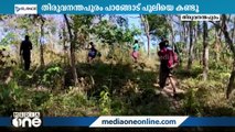 തിരുവനന്തപുരം പാങ്ങോട് ശാസ്താംകുന്നില്‍ പുലിയെ കണ്ടതായി നാട്ടുകാര്‍