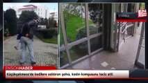 Küçükçekmece'de kedilere saldıran şahıs, kadın komşusunu taciz etti