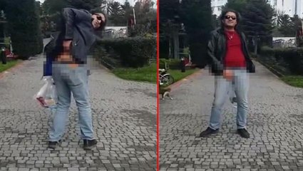 İstanbul'da kedileri darbeden şahsın bir kadını taciz ettiği görüntüler ortaya çıktı