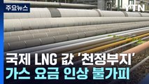 국제 LNG값 지난해 최고 11배 올라...올해 2배 더 오를 듯 / YTN