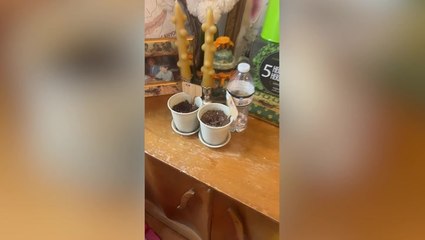 Julia Fox gives ‘relatable’ tour of one-bedroom New York apartment