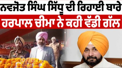 ਨਵਜੋਤ ਸਿੱਧੂ ਦੀ ਰਿਹਾਈ 'ਤੇ ਬੋਲੇ ਹਰਪਾਲ ਚੀਮਾ | Harpal Cheema On Navjot Sidhu | OneIndia Punjabi