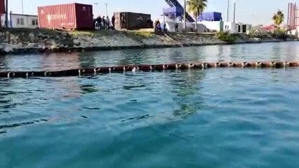 Ayağına kanca takılan martıyı Sahil Güvenlik ekibi kurtardı